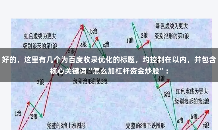 好的，这里有几个为百度收录优化的标题，均控制在以内，并包含核心关键词“怎么加杠杆资金炒股”：