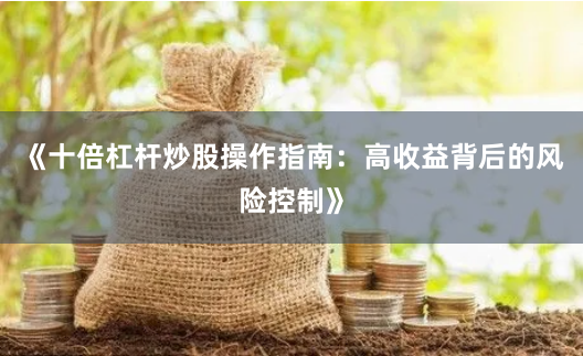《十倍杠杆炒股操作指南：高收益背后的风险控制》