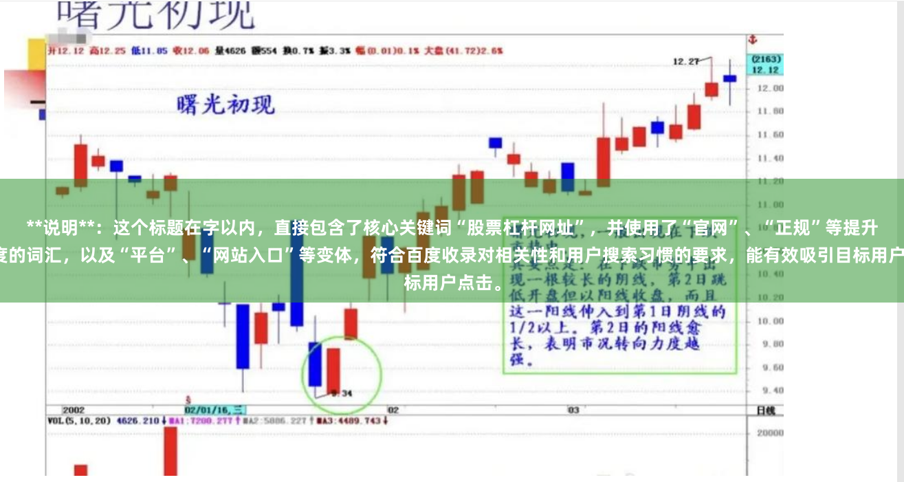 **说明**：这个标题在字以内，直接包含了核心关键词“股票杠杆网址”，并使用了“官网”、“正规”等提升信任度的词汇，以及“平台”、“网站入口”等变体，符合百度收录对相关性和用户搜索习惯的要求，能有效吸引目标用户点击。