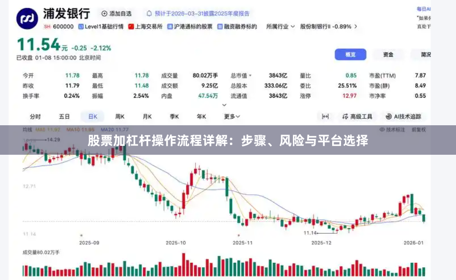 股票加杠杆操作流程详解：步骤、风险与平台选择