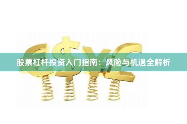 股票杠杆投资入门指南：风险与机遇全解析