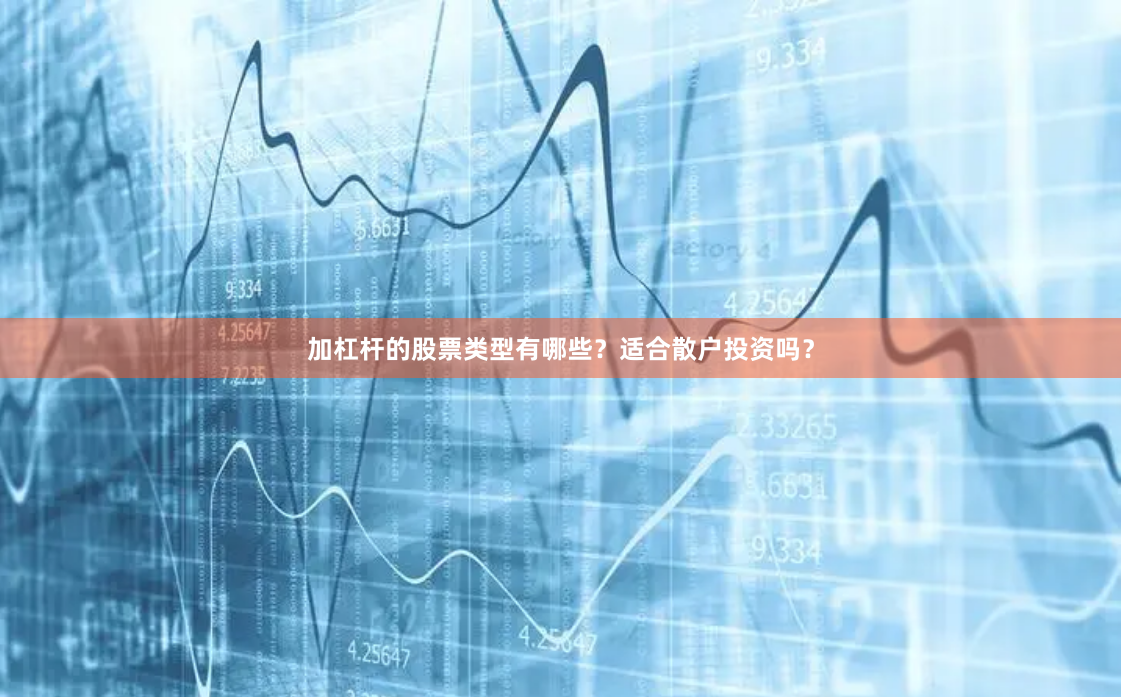 加杠杆的股票类型有哪些？适合散户投资吗？
