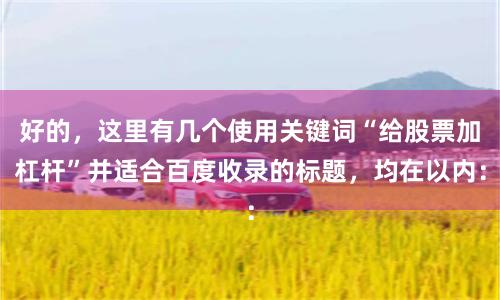 好的，这里有几个使用关键词“给股票加杠杆”并适合百度收录的标题，均在以内：