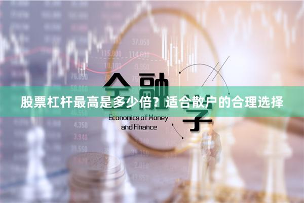 股票杠杆最高是多少倍？适合散户的合理选择
